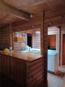 a kitchen in a log cabin with a counter top at Fins Boshuis in Meppen