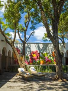 Un jardín fuera de Fiesta Americana Hacienda Galindo Resort & Spa