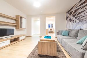 een woonkamer met een bank en een tv bij Apartman RÁZUSA CENTRUM in Banská Bystrica
