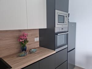 Kuchyň nebo kuchyňský kout v ubytování Kamena kuća Pandorovica