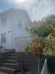 a white house with stairs and a fence and flowers at Cozy house in central Lysekil, 4-6 beds in Lysekil