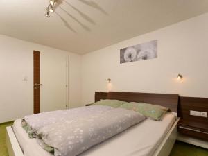 a bedroom with a large bed in a room at MyHome Apartments Ambach in Oetz