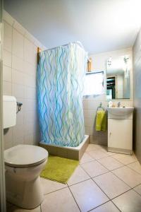 a bathroom with a toilet and a shower curtain at Ciprus Nyaraló Szarvas in Szarvas