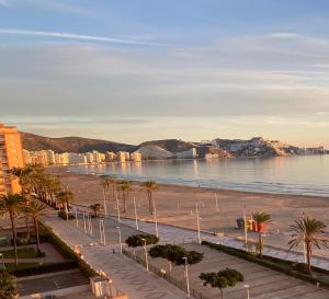 Blick auf einen Strand mit Palmen und Gebäuden in der Unterkunft FRENTE AL MAR in Cullera