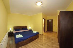 1 dormitorio con 1 cama con sábanas azules y suelo de madera en Casa Dragusana, en Drăguş
