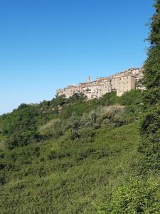 un bâtiment au sommet d'une colline verdoyante dans l'établissement Appartamento nel Borgo, à Roccatederighi