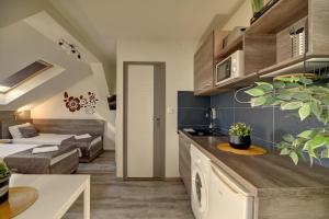 Kuchyňa alebo kuchynka v ubytovaní Familia Panzió & Apartmanház Győr