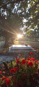 un letto in mezzo a un campo con fiori rossi di La Campagna di Rosy a Genzano di Roma