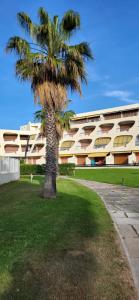 eine Palme vor einem Gebäude in der Unterkunft Une Escale en bord de Plage avec piscine et jardins in Le Grau-du-Roi