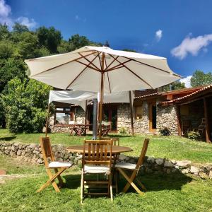 a table and chairs with an umbrella in the grass at Quinta dos Carvalhos The Wine House Farm in Center of Lamego - Capital of the Douro in Lamego