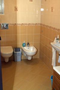 a bathroom with a toilet and a sink at Tó apartman in Tihany