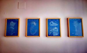 four framed pictures of fishes on a wall at Cornukarma Apartamiento La Capella in Cornudella