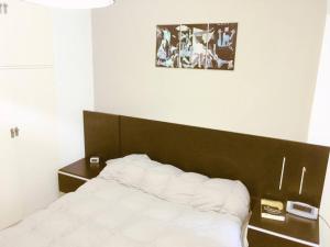 Postel nebo postele na pokoji v ubytování Rent Furnished Apartment 1 Main Room Recoleta