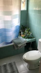 Kúpeľňa v ubytovaní Amplio 250m2, iluminado y céntrico en Palmas-Lomas