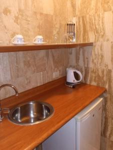 Kuchyň nebo kuchyňský kout v ubytování Hotel Carmel