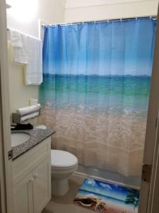 a bathroom with a toilet and a shower curtain at Villa verde Jamaica - Oceanview Getaway, Gated & Secured in Falmouth