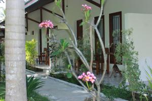 Zahrada ubytování Herry Homestay Kuta Lombok