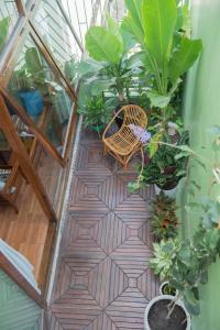 een balkon met een stoel en veel planten bij La Luna Quy Nhon in Quy Nhon