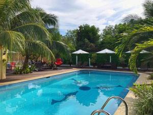 Gallery image of Nora's Place in Panglao