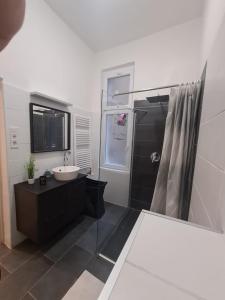Un baño con ducha de cristal y lavabo. en Akácfa Boutique Apartment, en Budapest