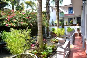 Giardino di Posada del Cafeto