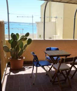 un patio con mesa, sillas y cactus en La Lampara, en Trapani