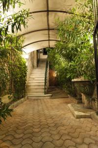 un couloir avec des escaliers et des plantes dans un bâtiment dans l'établissement Hôtel Vendôme, à Aix-en-Provence