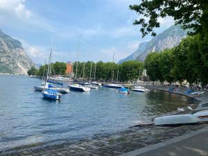 um monte de barcos estão ancorados na água em Love Loft casa vacanza lecco em Lecco