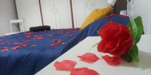 ノートにあるIl Sole del Mediterraneoの赤い花びらを添えたベッドの上の赤いバラ