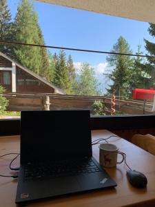 Przyroda w pobliżu tego apartamentu