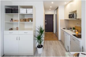 una cocina con armarios blancos y una planta en Klijanu street design studio in city centre, en Riga
