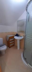a bathroom with a toilet and a sink and a shower at Casa Melitona in Castiello de Jaca +13 photos