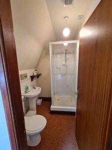 a bathroom with a shower and a toilet and a sink at Braelea in Spean Bridge