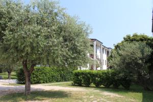 un árbol en un patio frente a un edificio en Casa Biancoliva en Toscolano Maderno