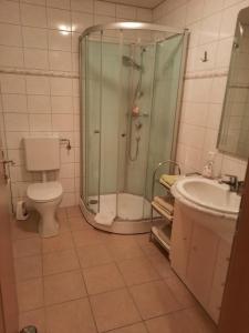 y baño con ducha, aseo y lavamanos. en Gästehaus zur Post - Heritage Inn, en Spital am Pyhrn