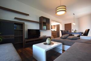 TV a/nebo společenská místnost v ubytování Apartments Antonija