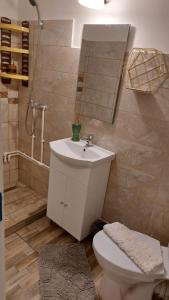 a bathroom with a sink and a toilet and a shower at Casa Remus in Sulina +28 photos