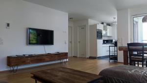 ein Wohnzimmer mit einem Flachbild-TV an der Wand in der Unterkunft Apartment "SUN" in Friedrichshafen