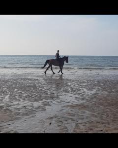 a person riding a horse on the beach at Les gîtes de ninon in Moult