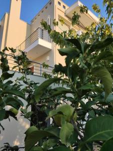 Zahrada ubytování The Bright House a two-storey maisonette in Loutraki