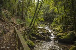 a stream in a forest with a bridge and rocks at Casa Las Piedras in Padrenda
