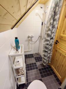 a bathroom with a toilet and a shower at Self check-in Attic Suite next to Hiking Trails in Kärde