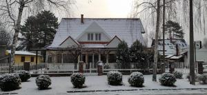 Erika Villa v zimě