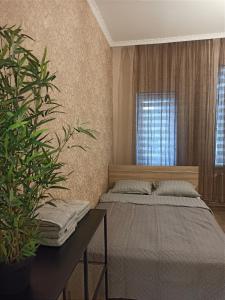 um quarto com uma cama, uma mesa e uma planta em LOFT Home em Daugavpils