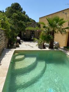a swimming pool with green water in a yard at Camin del Bosc in Roquefort-des-Corbières