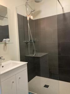 La salle de bains est pourvue d'une douche et d'un lavabo. dans l'établissement Hostellerie du Vieux Moulin, à Autun
