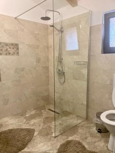 a bathroom with a glass shower with a toilet at Casa Cris in Durau