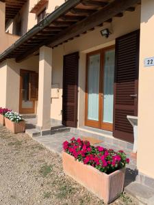 a house with three flowerpots of flowers in front of it at IL MESSINO in Montevarchi