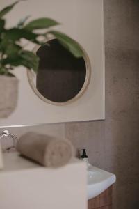 a bathroom sink with a mirror and a potted plant at Villa Rose Guesthouse & Venue in Bloemfontein