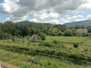a field of crops with mountains in the background at A PONTE in Padrón